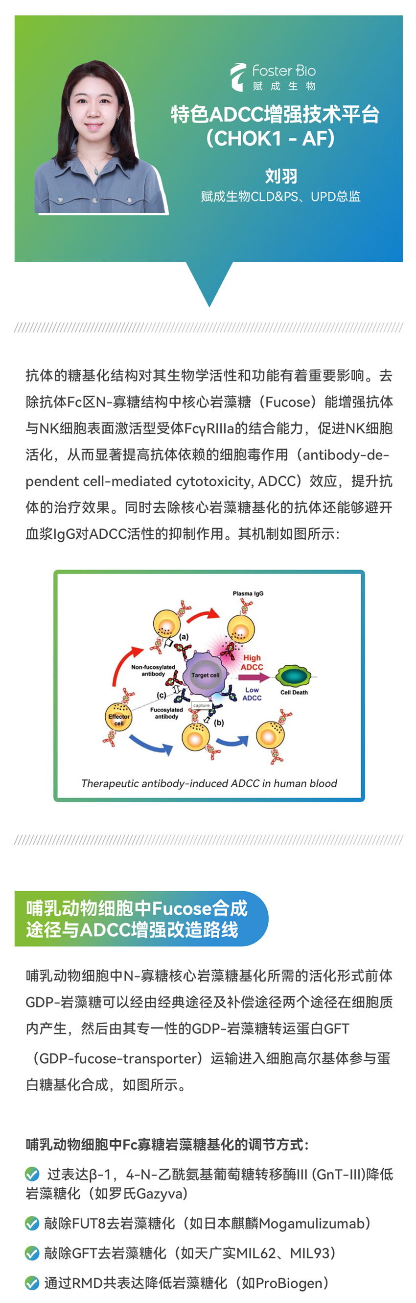 網(wǎng)站用-1.jpg